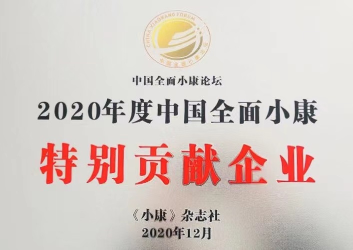 2020年度中国全面小康特别贡献企业